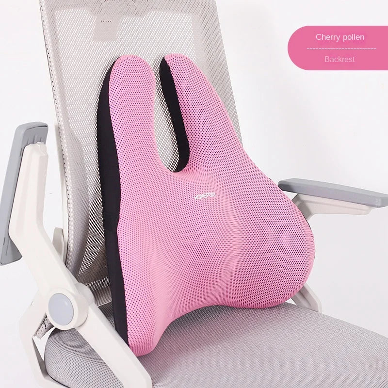 Orthopedic Memory Foam Cushion Set – Coccyx & Lumbar Support - Image 5